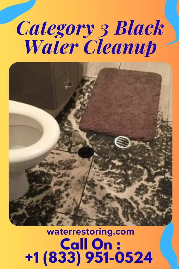 Category 3 Black Water Cleanup in Centre Island, NY