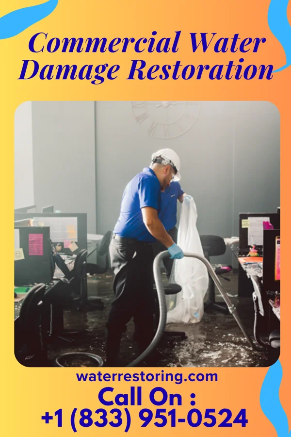 Commercial Water Damage Restoration in Centre Island, NY