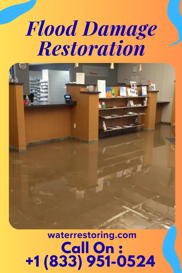 Flood Damage Restoration in Centre Island, NY