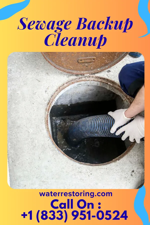 Sewage Backup Cleanup in Centre Island, NY