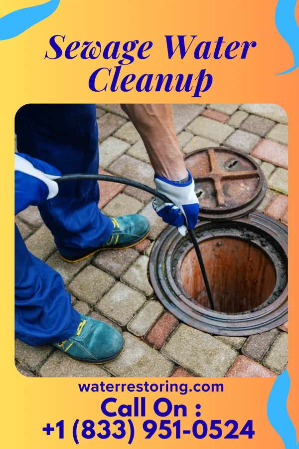 Sewage Water Cleanup in Centre Island, NY