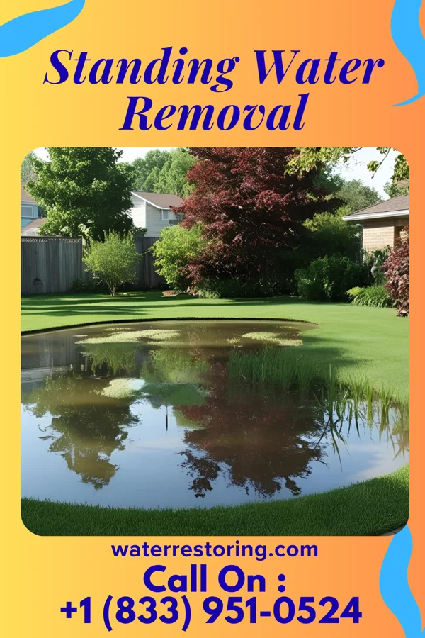 Standing Water Removal in Centre Island, NY
